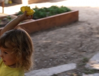 Sacred Garden Playgroup